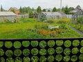 Продажа дома: г. Асбест, ул. Сосновая, 6 (городской округ Асбестовский) - Фото 6