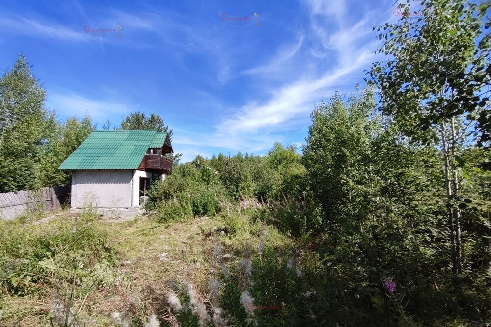 п. Кедровка, № 127 «Дачник», ул. Раздольная, 60 (городской округ Березовский) - фото сада (2)