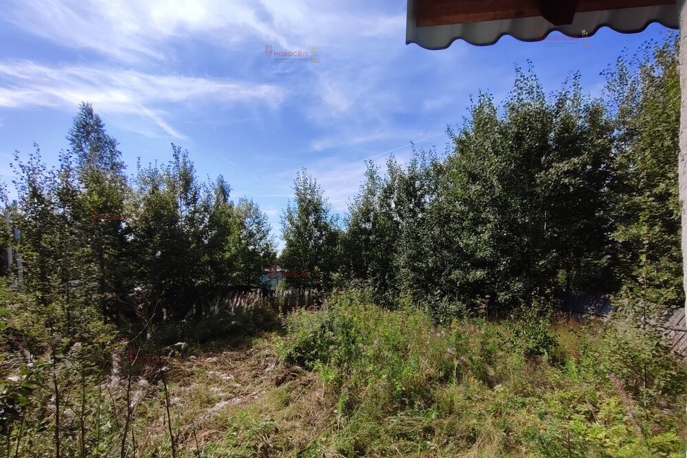 п. Кедровка, № 127 «Дачник», ул. Раздольная, 60 (городской округ Березовский) - фото сада (4)