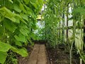 Продажа земельного участка: п. Монетный, ул. сад №17, 20 (городской округ Березовский) - Фото 8