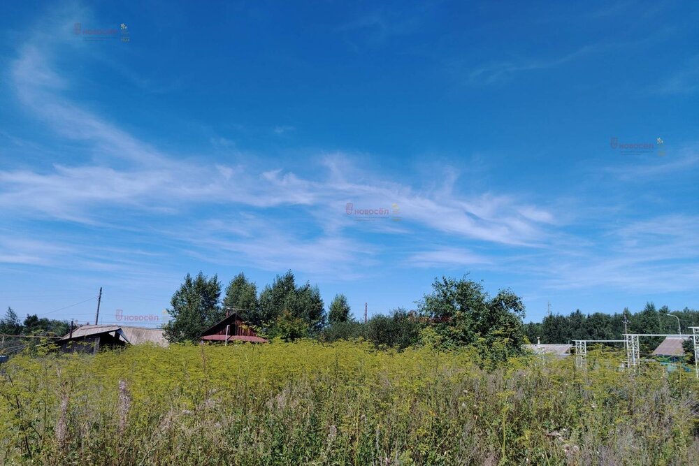 с. Мезенское, ул. Трактовая, 62 (городской округ Заречный) - фото дома (3)