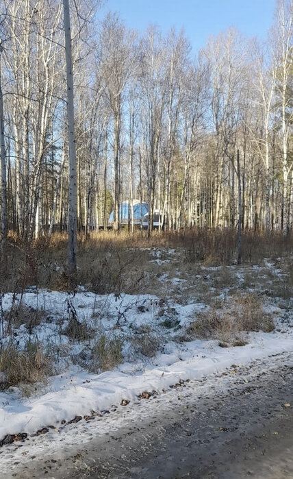 п. Растущий, ул. посёлок лесных поместий Острова (городской округ Белоярский) - фото земельного участка (3)