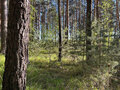 Продажа земельного участка: Каменский мо.  урочище 