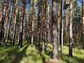 Продажа земельного участка: Каменский мо.  урочище 