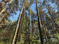 Продажа земельного участка: Каменский мо.  урочище 