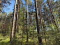 Продажа земельного участка: Каменский мо.  урочище 