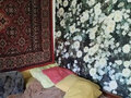 Продажа садового участка: с. Балтым, Госучреждений N2, уч. 24 (городской округ Верхняя Пышма) - Фото 6