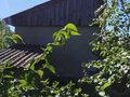 Продажа садового участка: с. Балтым, Госучреждений N2, уч. 24 (городской округ Верхняя Пышма) - Фото 7
