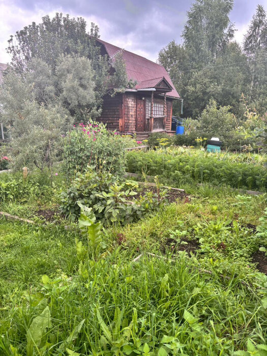 п. Аять, ул. Центральная, 60 (городской округ Невьянский) - фото дачи (3)