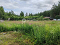 Продажа садового участка: Екатеринбург, СНТ Ариана-4, уч. 3 (Медный) - Фото 3