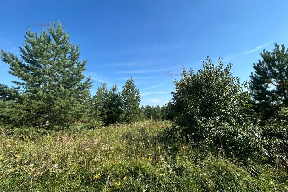 п. Прохладный, ул. Ромашек (городской округ Белоярский) - фото земельного участка (2)