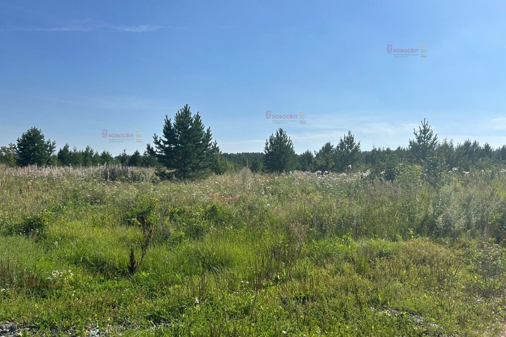 п. Прохладный, ул. Ромашек (городской округ Белоярский) - фото земельного участка (6)