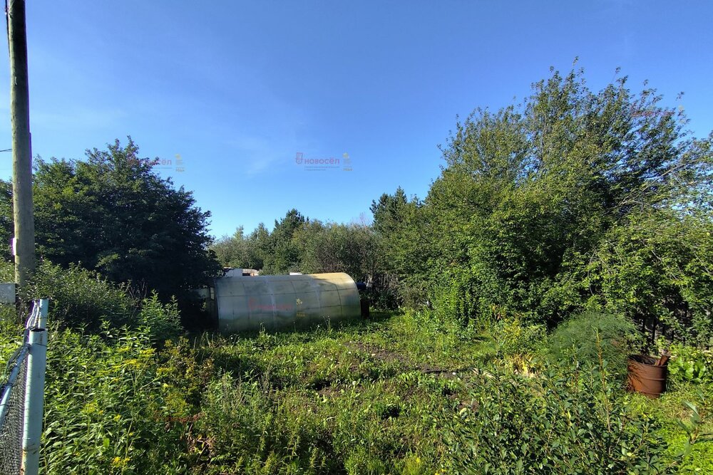 п. Большой Исток, к/с Старт (городской округ Сысертский) - фото сада (1)