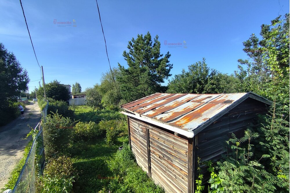 п. Большой Исток, к/с Старт (городской округ Сысертский) - фото сада (3)