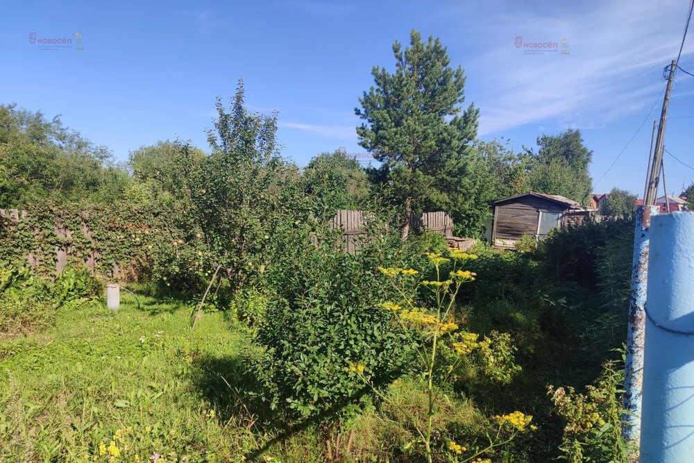 п. Большой Исток, к/с Старт (городской округ Сысертский) - фото сада (6)