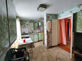 Продажа дома: с. Мезенское, ул. Главная, 11 (городской округ Заречный) - Фото 3