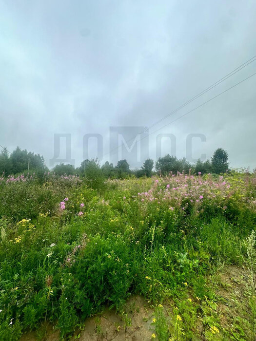 п. Монетный, ул. Февральская, 7 (городской округ Березовский) - фото земельного участка (1)