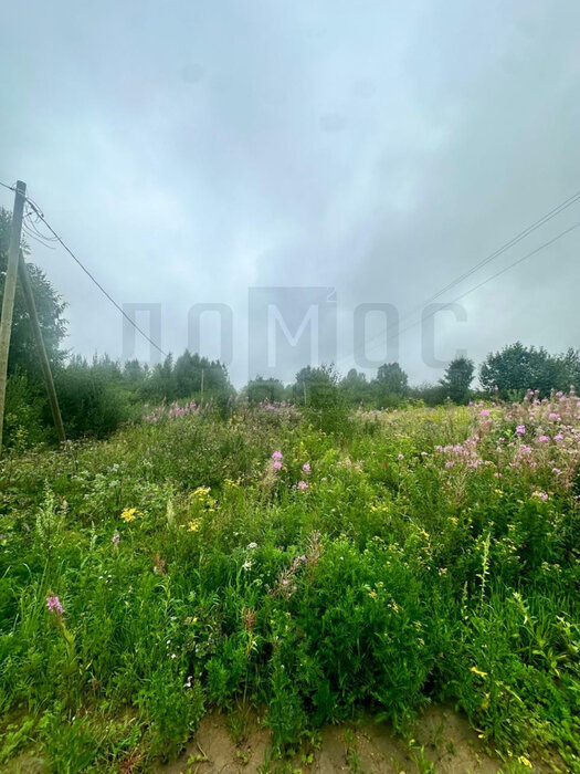 п. Монетный, ул. Февральская, 7 (городской округ Березовский) - фото земельного участка (2)