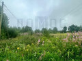 Продажа земельного участка: п. Монетный, ул. Февральская, 7 (городской округ Березовский) - Фото 2