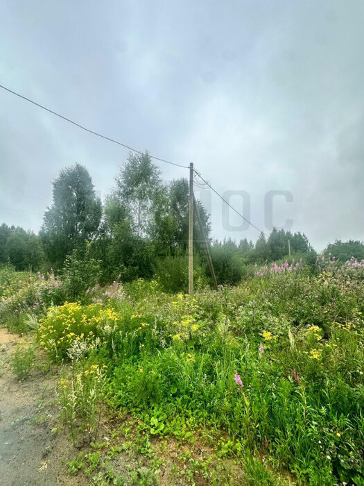 п. Монетный, ул. Февральская, 7 (городской округ Березовский) - фото земельного участка (3)