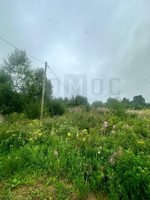 п. Монетный, ул. Февральская, 7 (городской округ Березовский) - фото земельного участка (4)