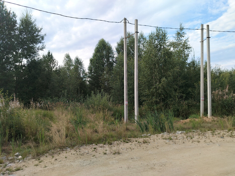 п. Монетный, № 127 Дачник, ул. Лимонная (городской округ Березовский) - фото сада (1)