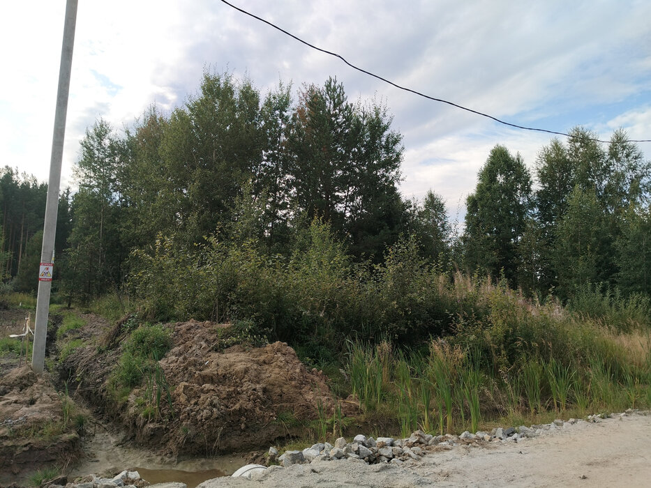 п. Монетный, № 127 Дачник, ул. Лимонная (городской округ Березовский) - фото сада (3)