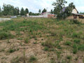 Продажа садового участка: п. Монетный, № 127 Дачник, ул. Лимонная (городской округ Березовский) - Фото 4