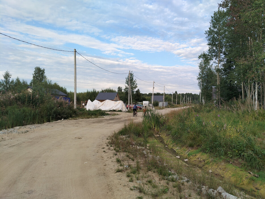 п. Монетный, № 127 Дачник, ул. Лимонная (городской округ Березовский) - фото сада (5)