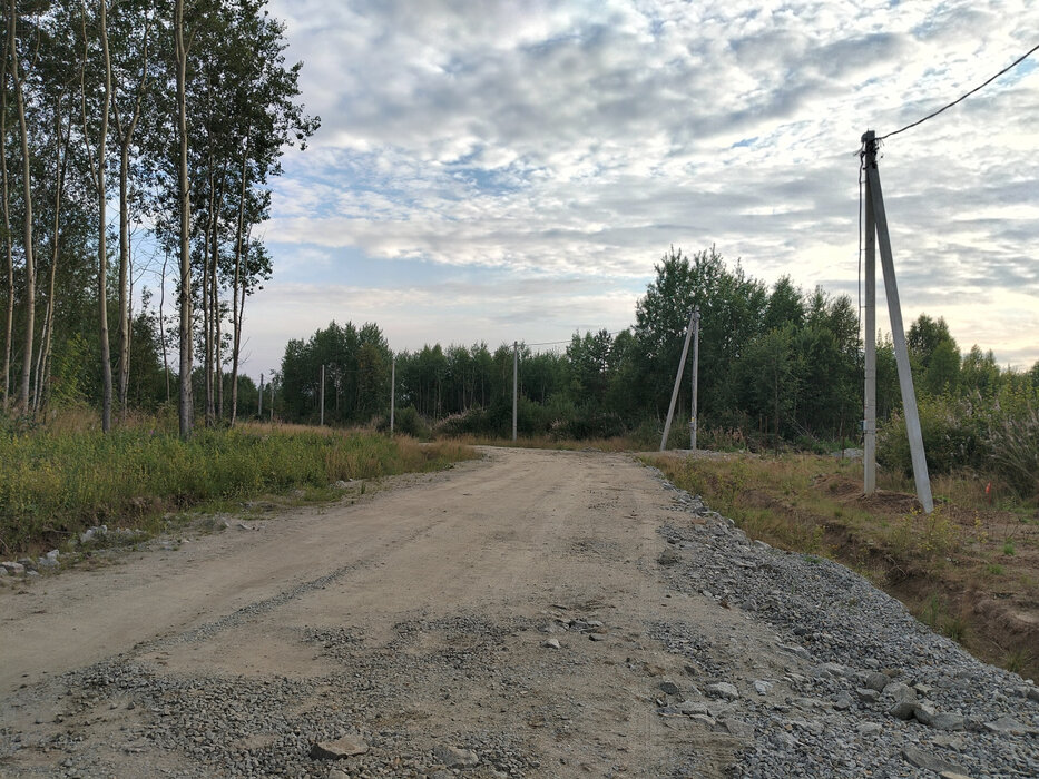 п. Монетный, № 127 Дачник, ул. Лимонная (городской округ Березовский) - фото сада (6)