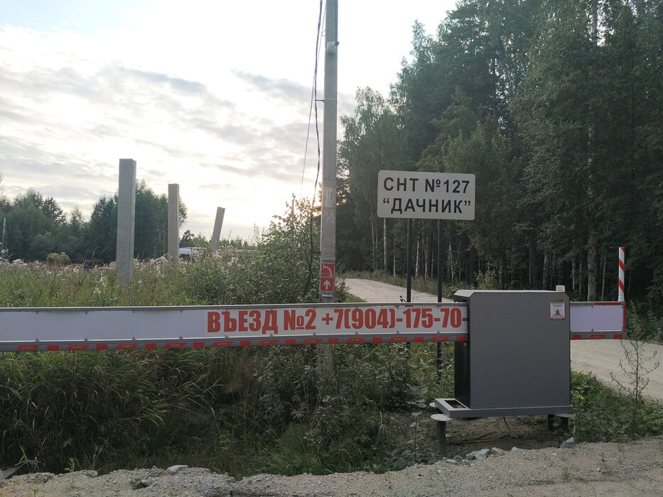 п. Монетный, № 127 Дачник, ул. Лимонная (городской округ Березовский) - фото сада (8)