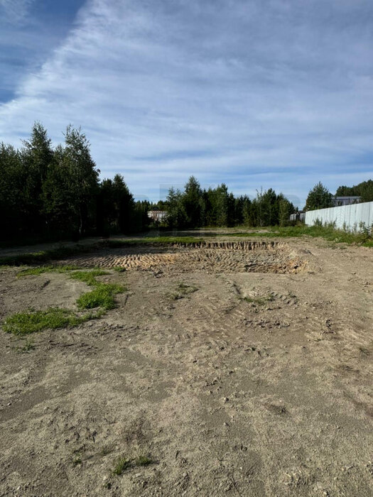 п. Монетный, ул. Согласия, 9 (городской округ Березовский) - фото земельного участка (6)