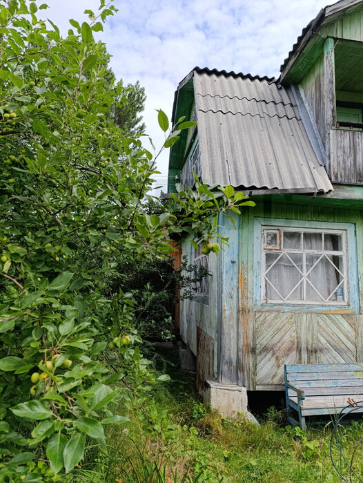 п. Аять, СНТ 