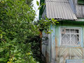 Продажа садового участка: п. Аять, СНТ 