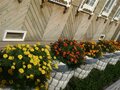 Продажа дома: поселок городского типа Староуткинск, ул. Заречная, 16 (городской округ Староуткинск) - Фото 3