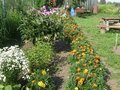Продажа дома: поселок городского типа Староуткинск, ул. Заречная, 16 (городской округ Староуткинск) - Фото 7