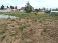 Продажа садового участка: п. Монетный, СНТ 127 Дачник, уч.   (городской округ Березовский) - Фото 7
