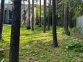Продажа дома: Екатеринбург, ул. Садовая, 3 (Палкинский торфяник) - Фото 5