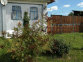 Продажа дома: д.Осиновка, ул. Мира, 10 (городской округ Невьянский) - Фото 4