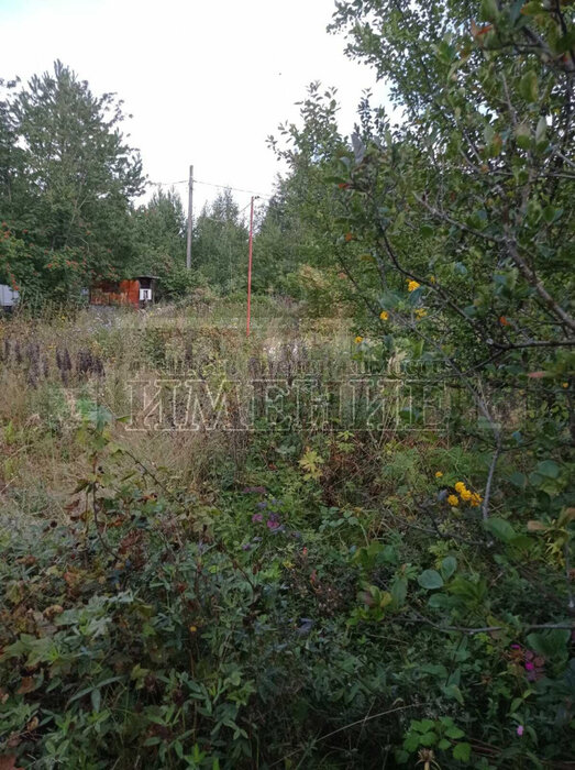 п. Гусевка, СНТ № 7, ул. № 3, 1 (городской округ Ревда) - фото сада (3)