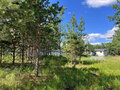 Продажа земельного участка: к.п. Улесье (Чкаловский район) - Фото 7