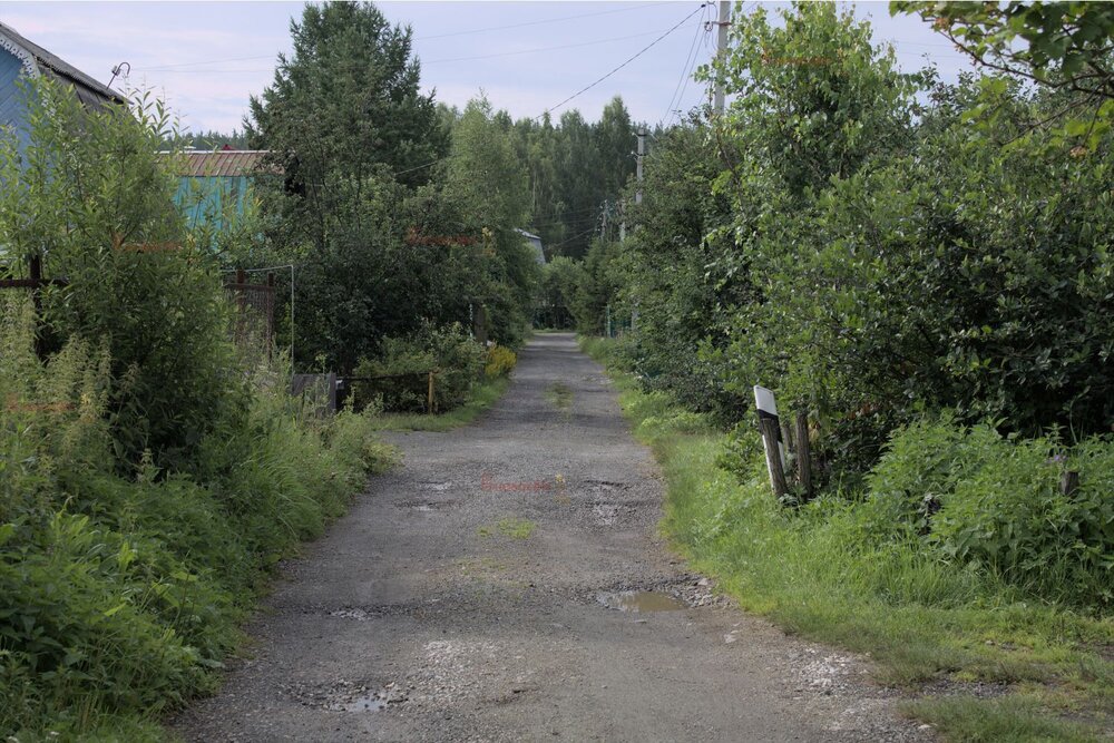 Екатеринбург, к/с Солнечный, уч. 73 - фото сада (5)