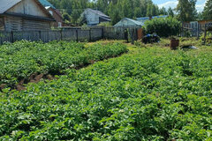 п. Калиново, ул. Ярославского, 50 (городской округ Невьянский) - фото дома