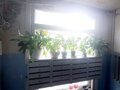 Продажа квартиры: Екатеринбург, ул. Стрелочников, 5 (Вокзальный) - Фото 6