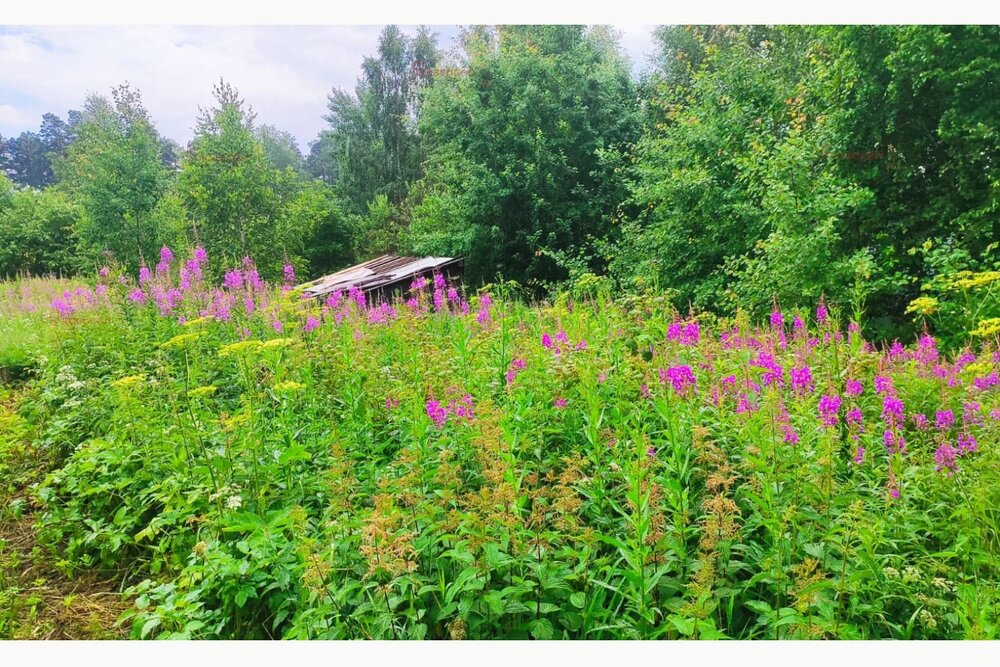 с. Кунгурка, СНТ Горняки (городской округ Ревда) - фото сада (3)