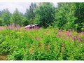 Продажа садового участка: с. Кунгурка, СНТ Горняки (городской округ Ревда) - Фото 3