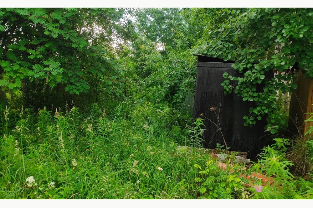 с. Кунгурка, СНТ Горняки (городской округ Ревда) - фото сада (4)