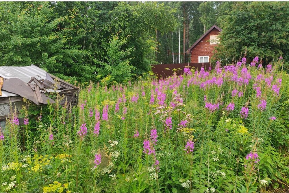 с. Кунгурка, СНТ Горняки (городской округ Ревда) - фото сада (7)