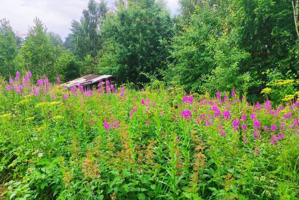 с. Кунгурка, СНТ Горняки (городской округ Ревда) - фото сада (8)