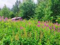 Продажа садового участка: с. Кунгурка, СНТ Горняки (городской округ Ревда) - Фото 8